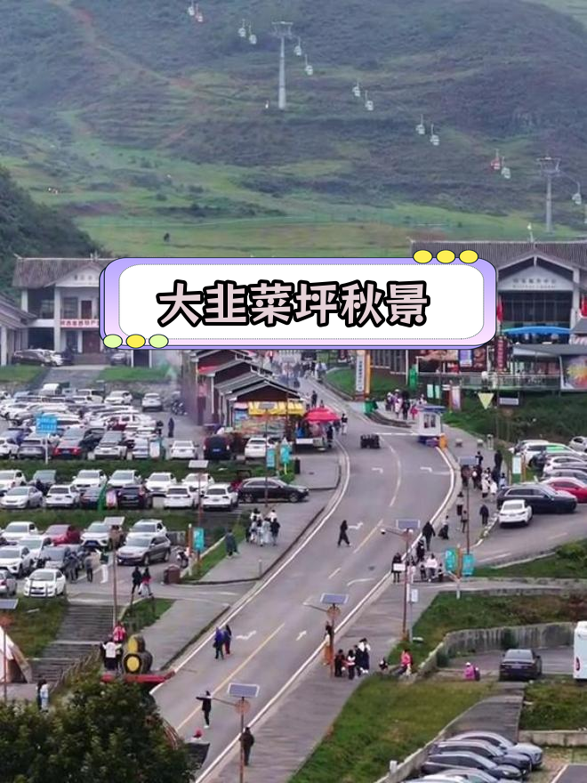 赫章大韭菜坪:国庆必游的“天上花海”