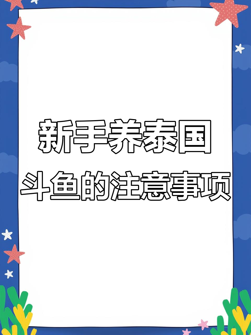 泰国斗鱼到家后如何处理？新手必看技巧