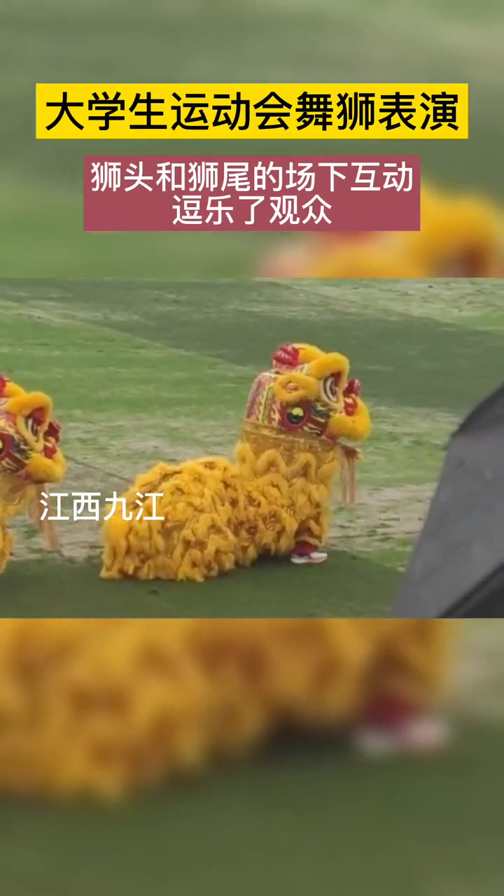 大学生运动会舞狮表演,场下狮头和狮尾的互动逗乐了观众
