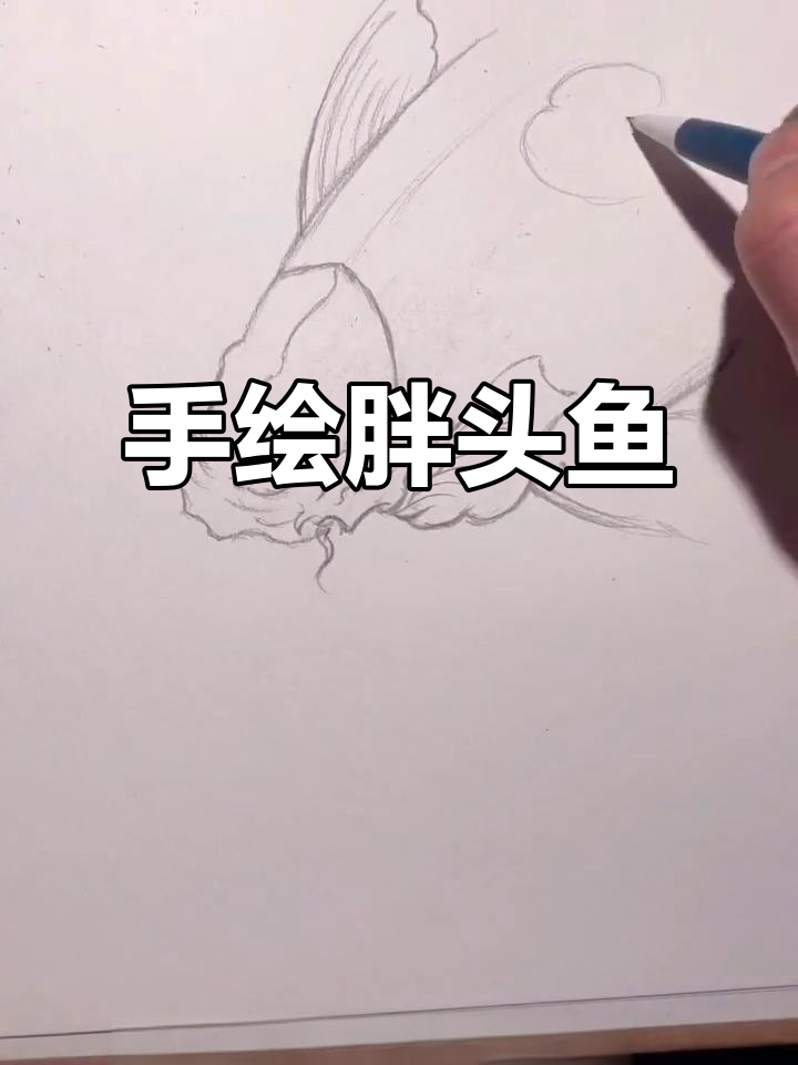 胖头鱼倒栽葱,手绘教程大揭秘