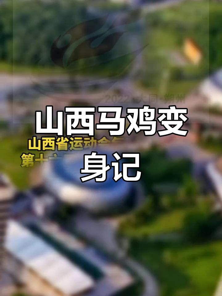 山西鸟褐马鸡蜕变,翔翔展翅飞翔