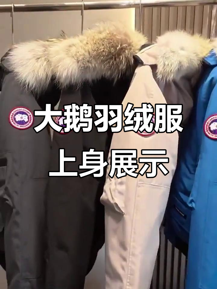 大鹅羽绒服实拍效果,哪款最适合你?