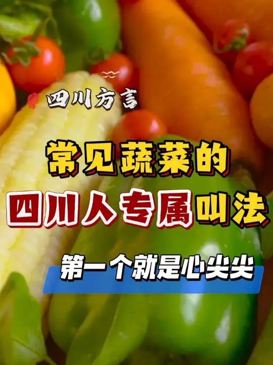 常见蔬菜的四川人专属叫法 盘点那些常见蔬菜的四川人专属叫法,你们那儿都是怎么叫的
