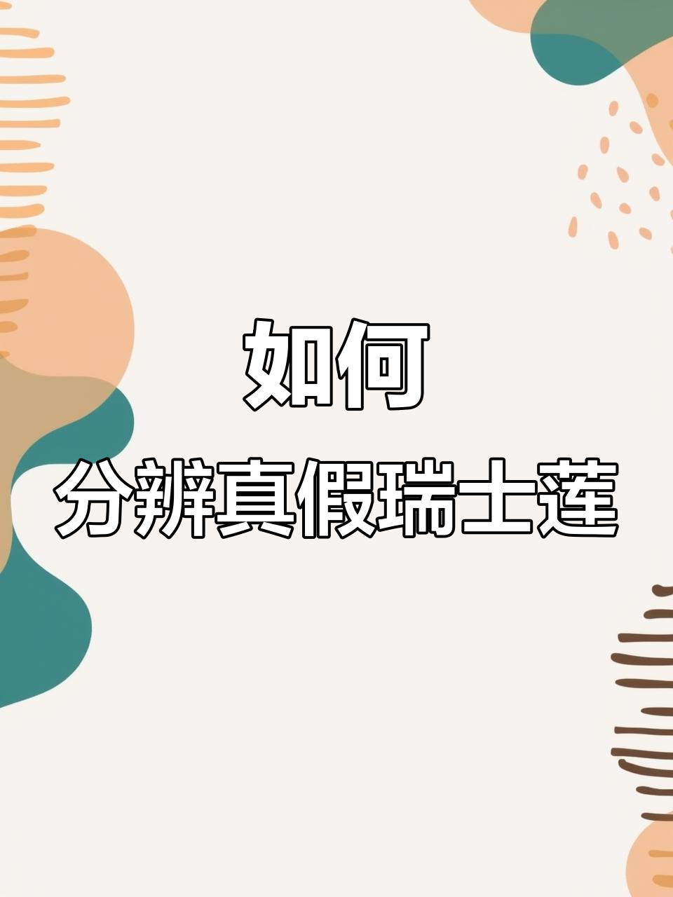真假瑞士莲巧克力大揭秘,如何辨别真伪