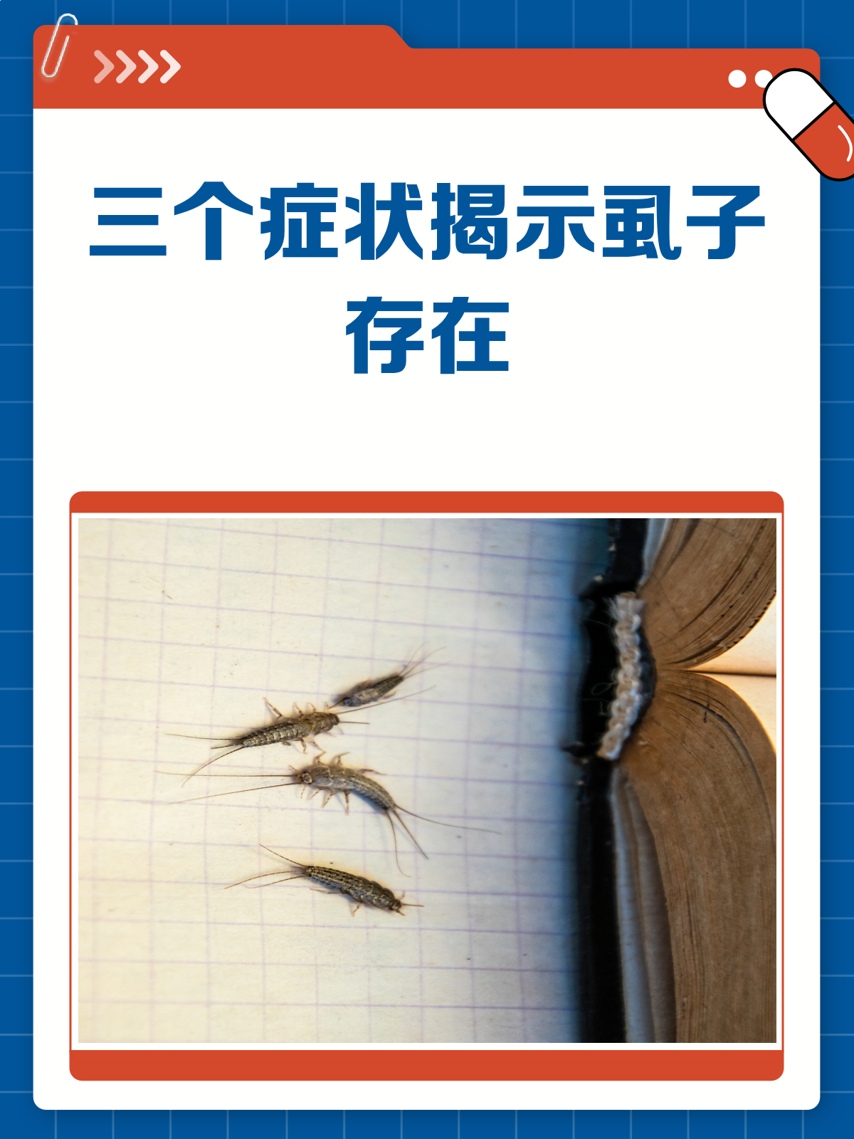 三个症状告诉你,可能已经被虱子盯上了!
