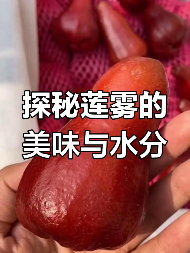 莲雾：从观赏果到美味多汁，了解东南亚的天然矿泉水