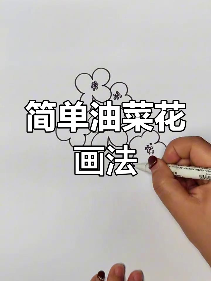 油菜花简笔画,轻松学会