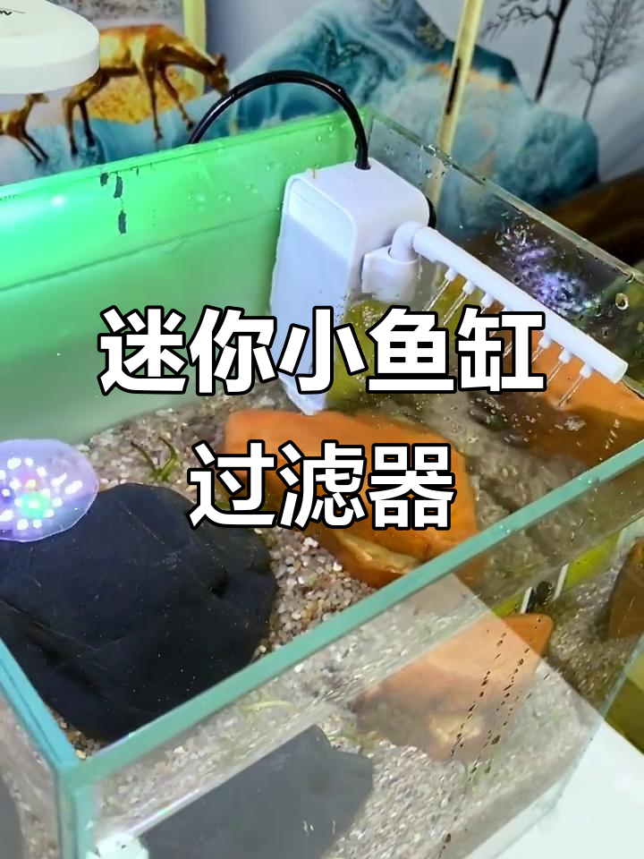 小鱼缸三合一过滤器,吸盘设计轻松安装,增氧造浪更自然