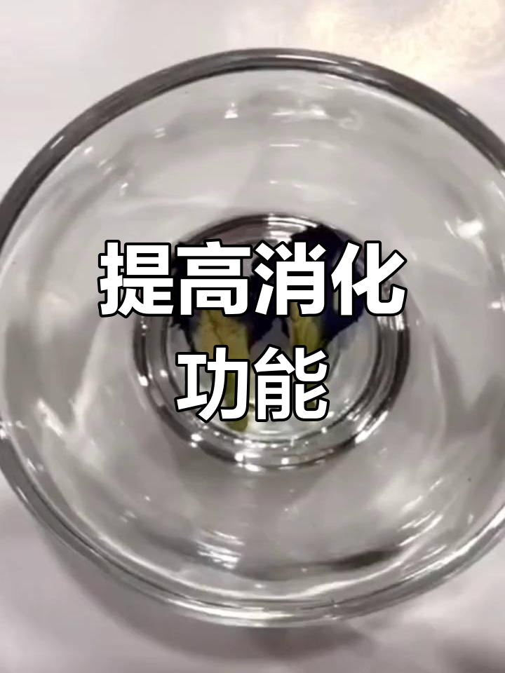 蓝蝴蝶花泡水助消化,促进肠胃吸收
