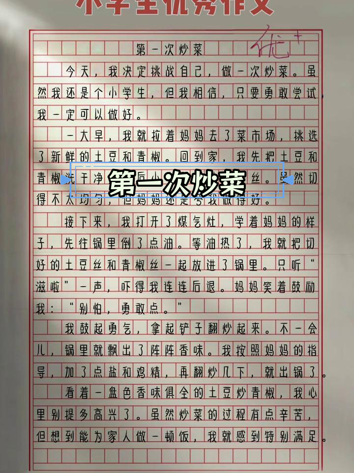 四年级作文:第一次炒菜的体验