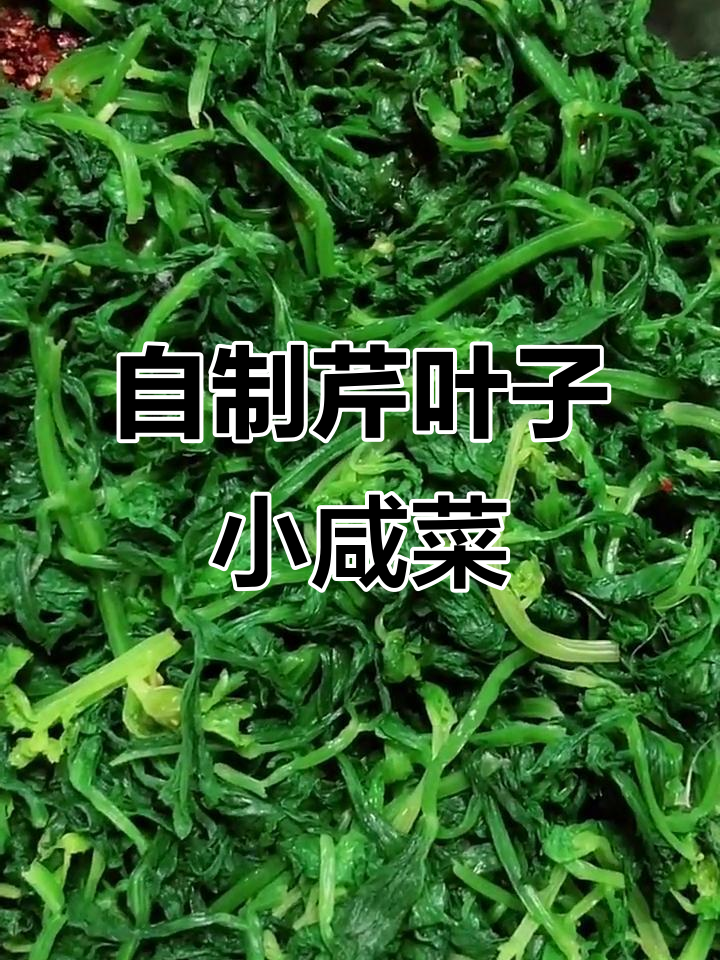 芹菜叶咸菜拌法,简单又美味!