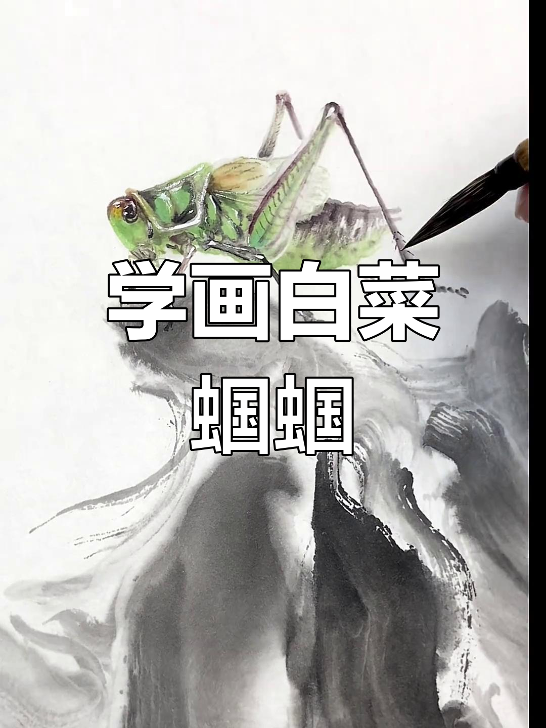 画白菜蝈蝈,国画入门轻松学