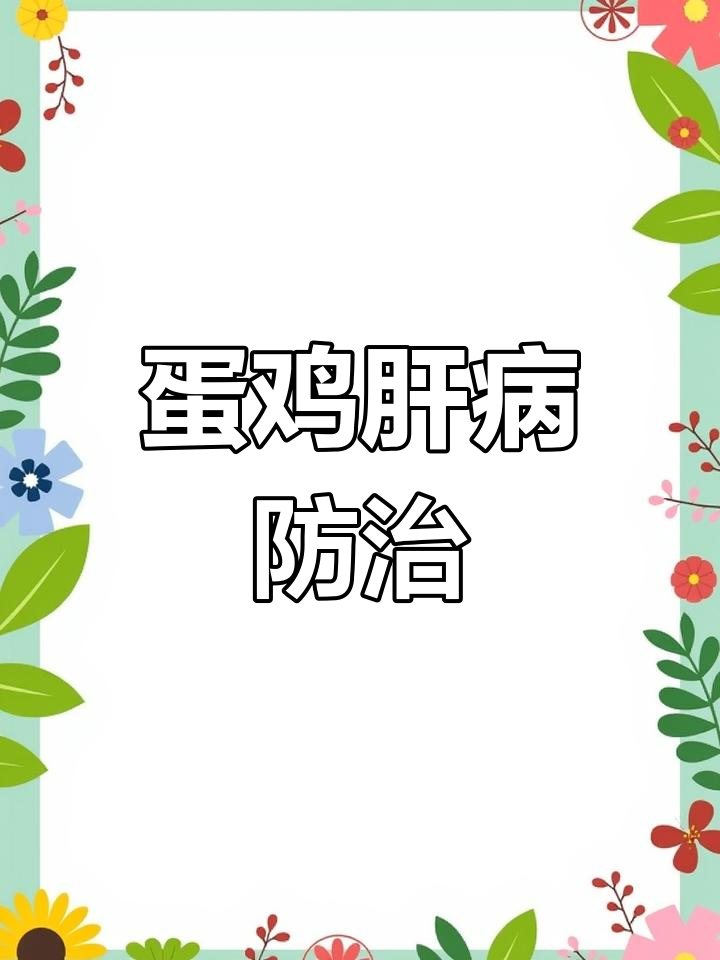 蛋鸡肝病频发,出血坏死常见,需及时保肝治疗