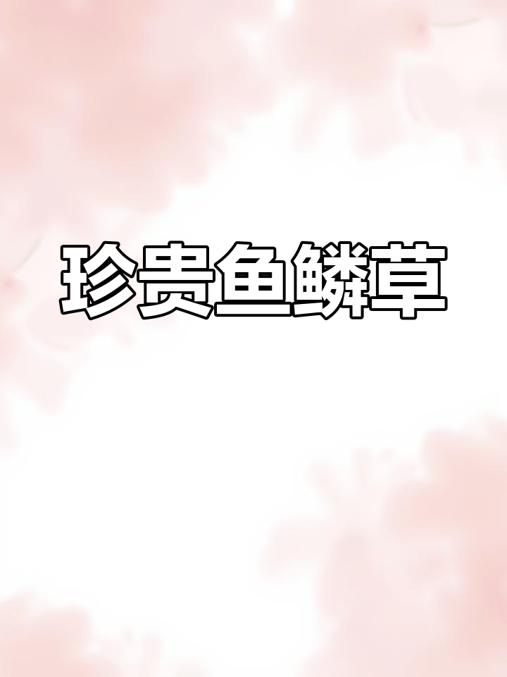 鱼鳞草,农村珍稀草药,盆中价值高达260文