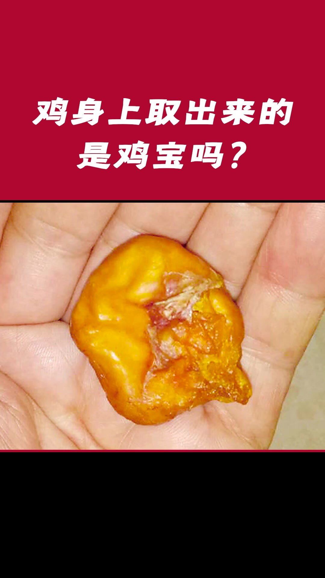 鸡身上取出来的,是鸡宝吗?