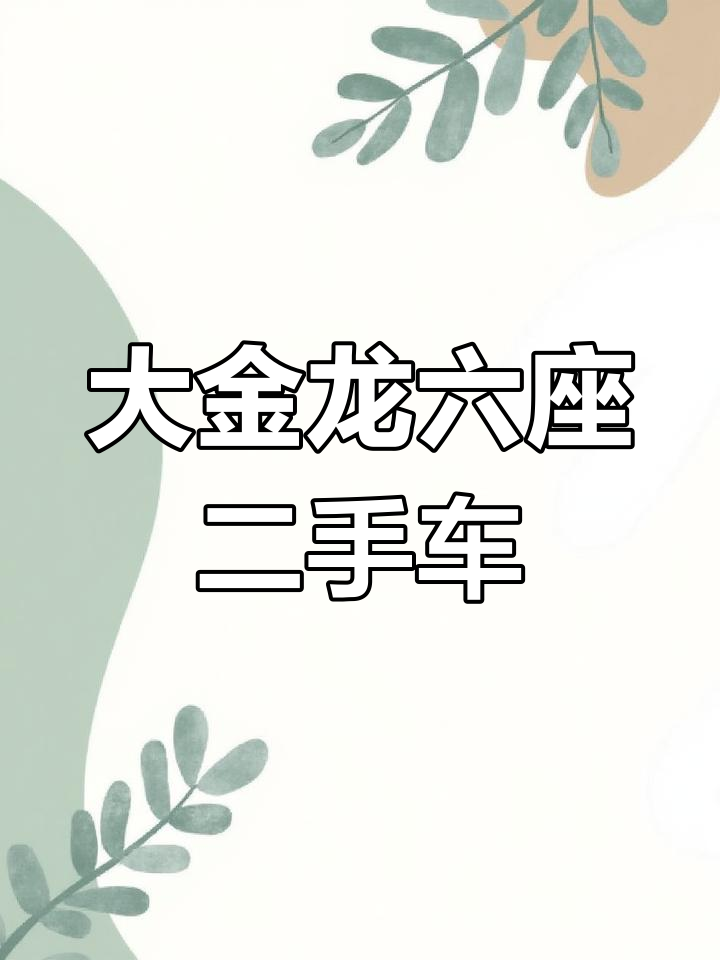 2016款大金龙六座柴油车,空间超大