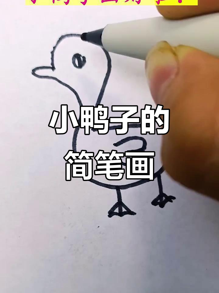 轻松学画小鸭子，简单又有趣！