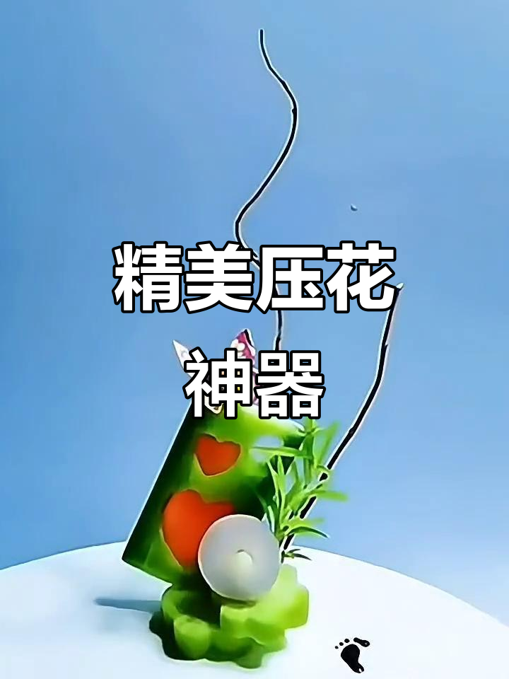 精致压花模具,让菜品瞬间升级,酒店创意必备装饰品