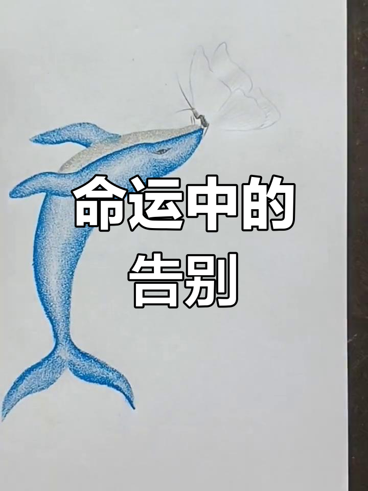蝴蝶与鲸鱼的悲剧结局