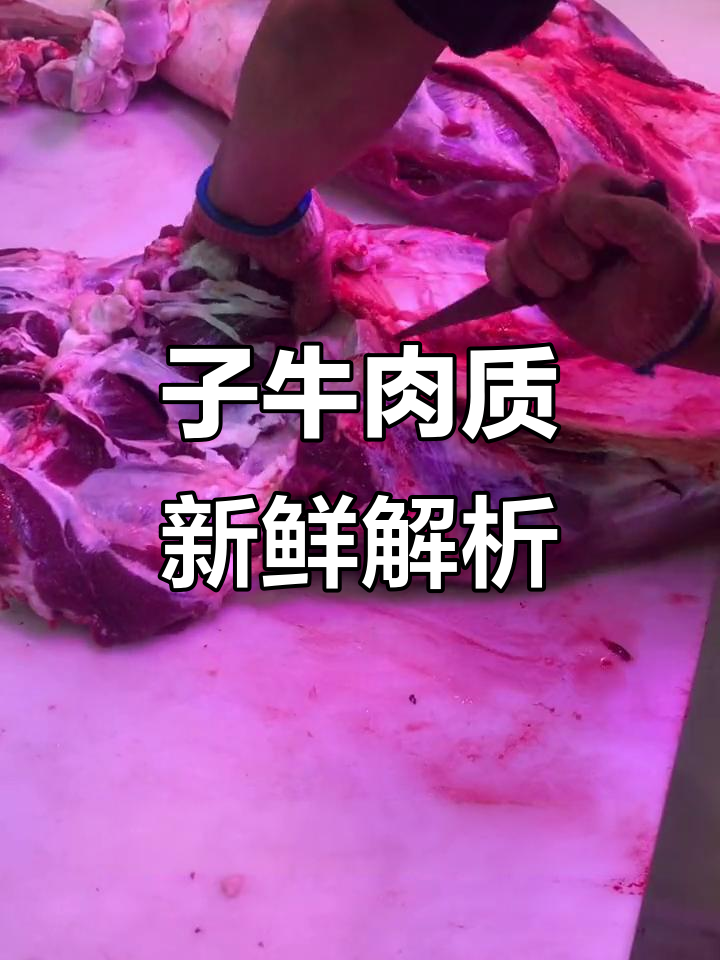 牛前腱子、棒骨与肩胛肉的完美分割,每一斤都让你放心