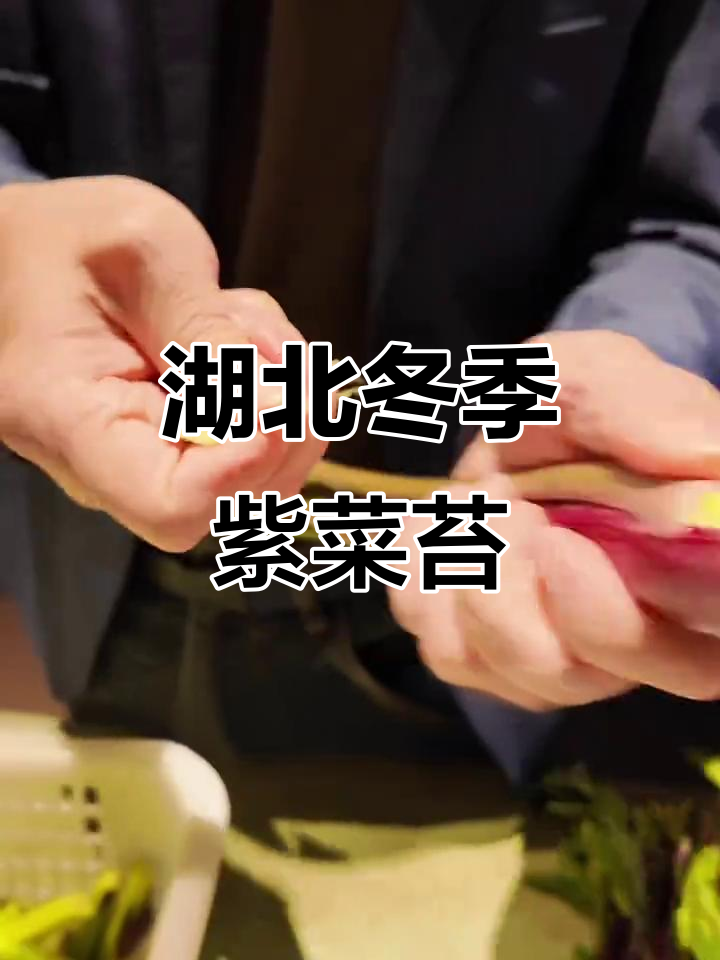 湖北冬季特色紫菜苔,脆嫩美味不容错过