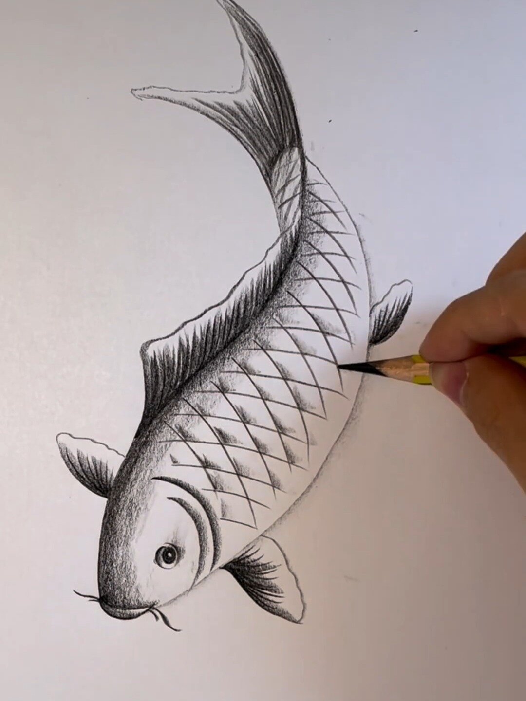 画一个年年有鱼～