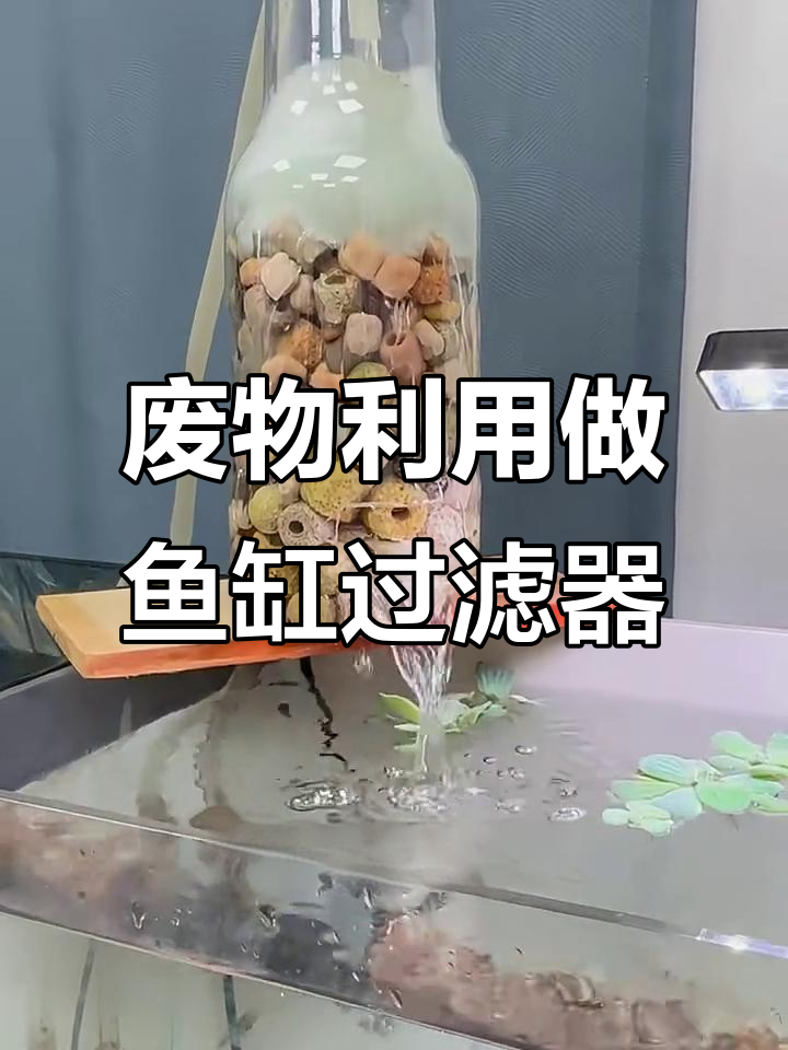 利用废旧瓶子DIY鱼缸瀑布过滤,简单又省钱