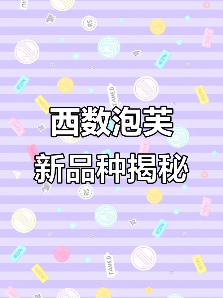 烟台大悦城西树泡芙新品曝光,麻薯、巧克力口味一网打尽