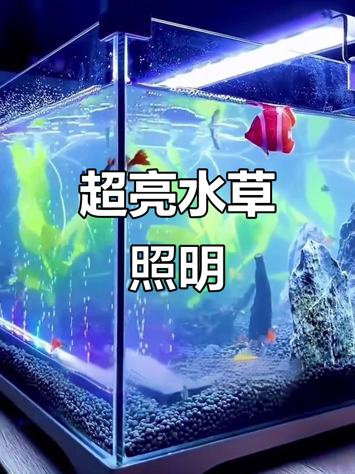 益科达LED灯,超亮全光谱,草缸增色防藻必备