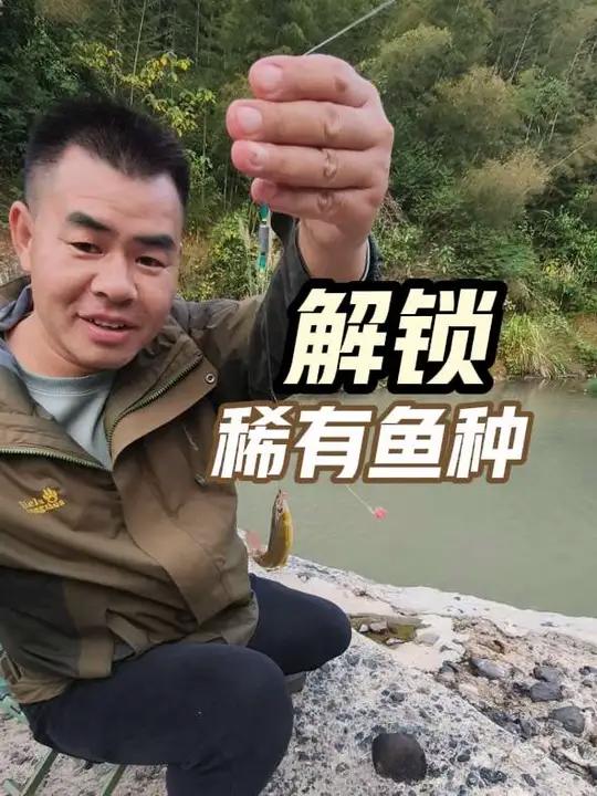探钓乡村小河,解锁稀有鱼种