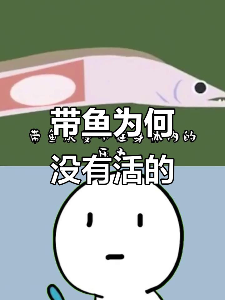 为什么过年买的带鱼都是死的?揭秘深海压力的秘密