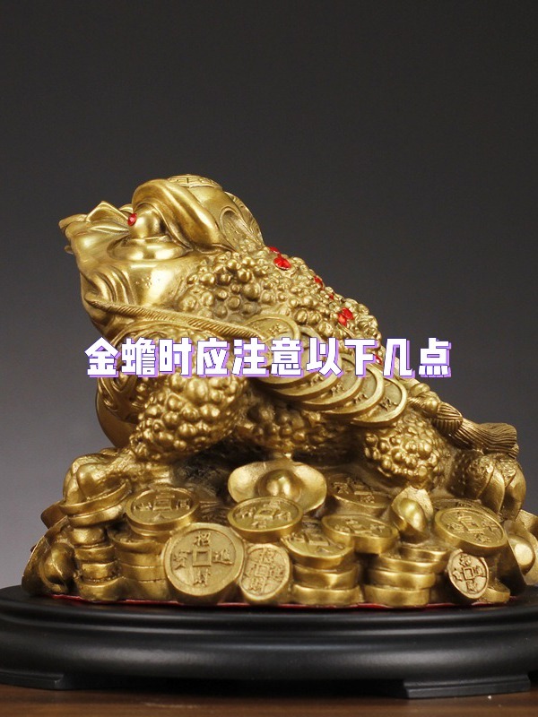 金蟾摆放时应注意以下几点