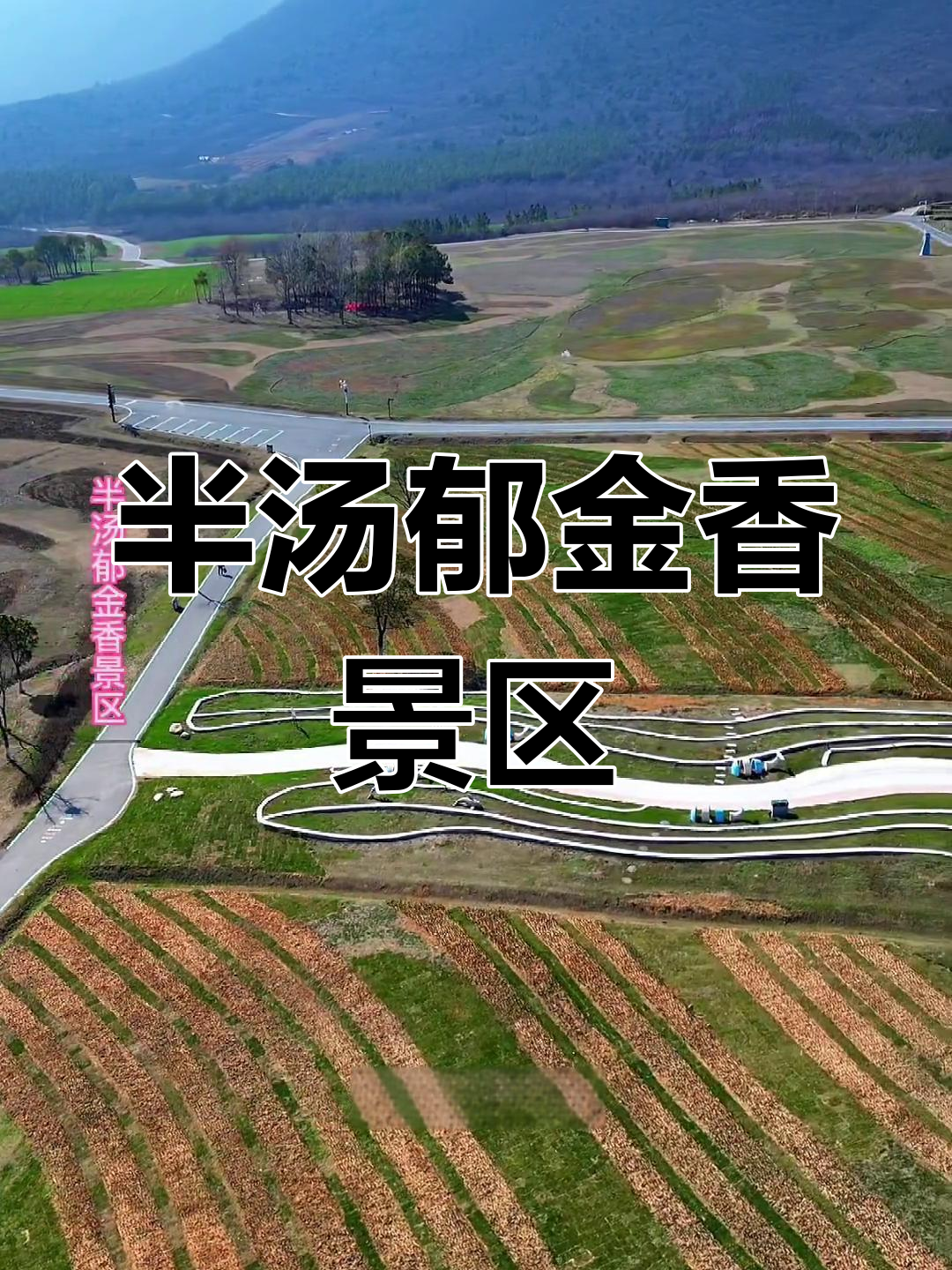 安徽巢湖半汤度假区:郁金香高地与温泉休闲新天地