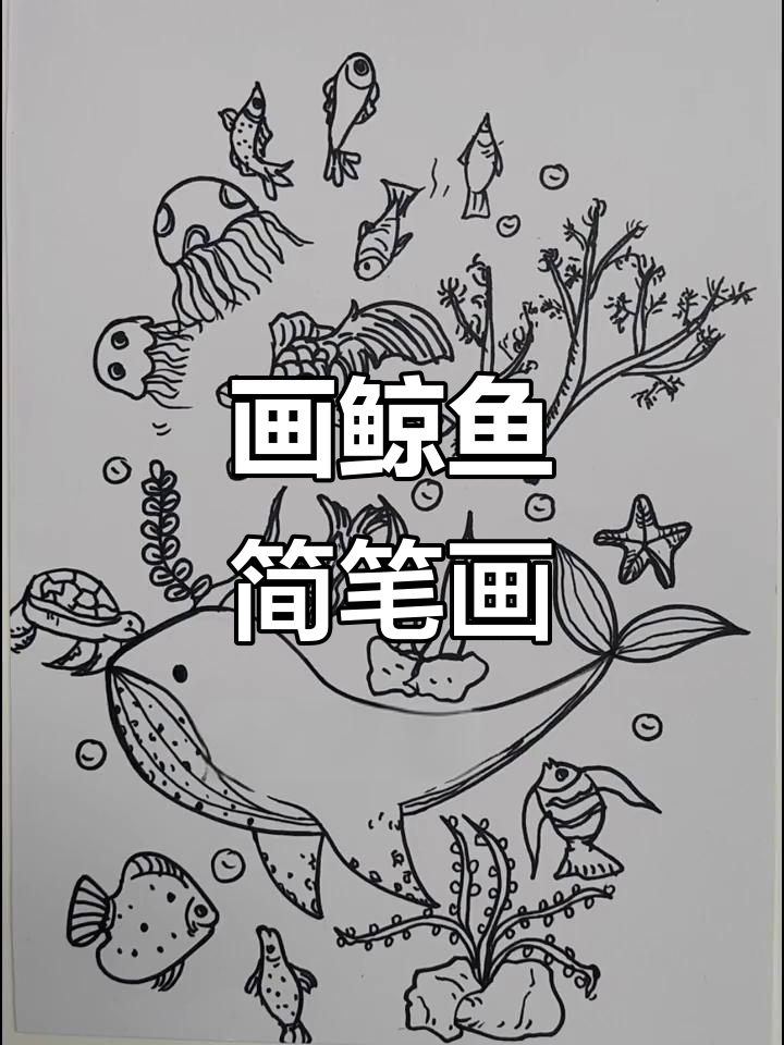 你见过鲸落吗?画出可爱小鲸鱼,超简单!