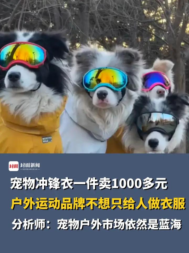 宠物冲锋衣一件卖1000多元?户外运动品牌不想只给人做衣服,分析师:“相对于人类户外市场,