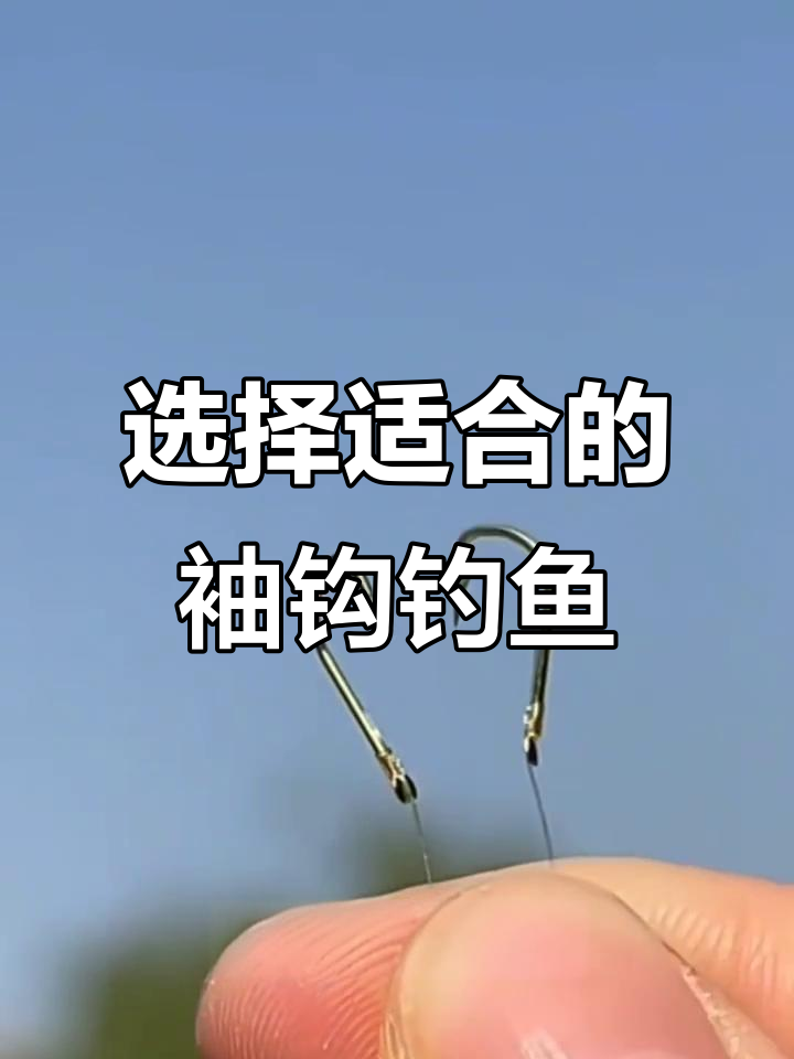 钓鲫鱼选袖钩技巧,大小通吃轻松搞定