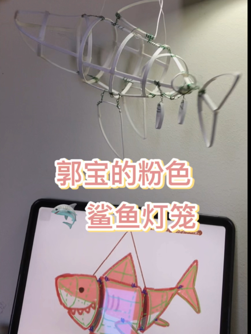 郭宝的粉色鲨鱼灯笼