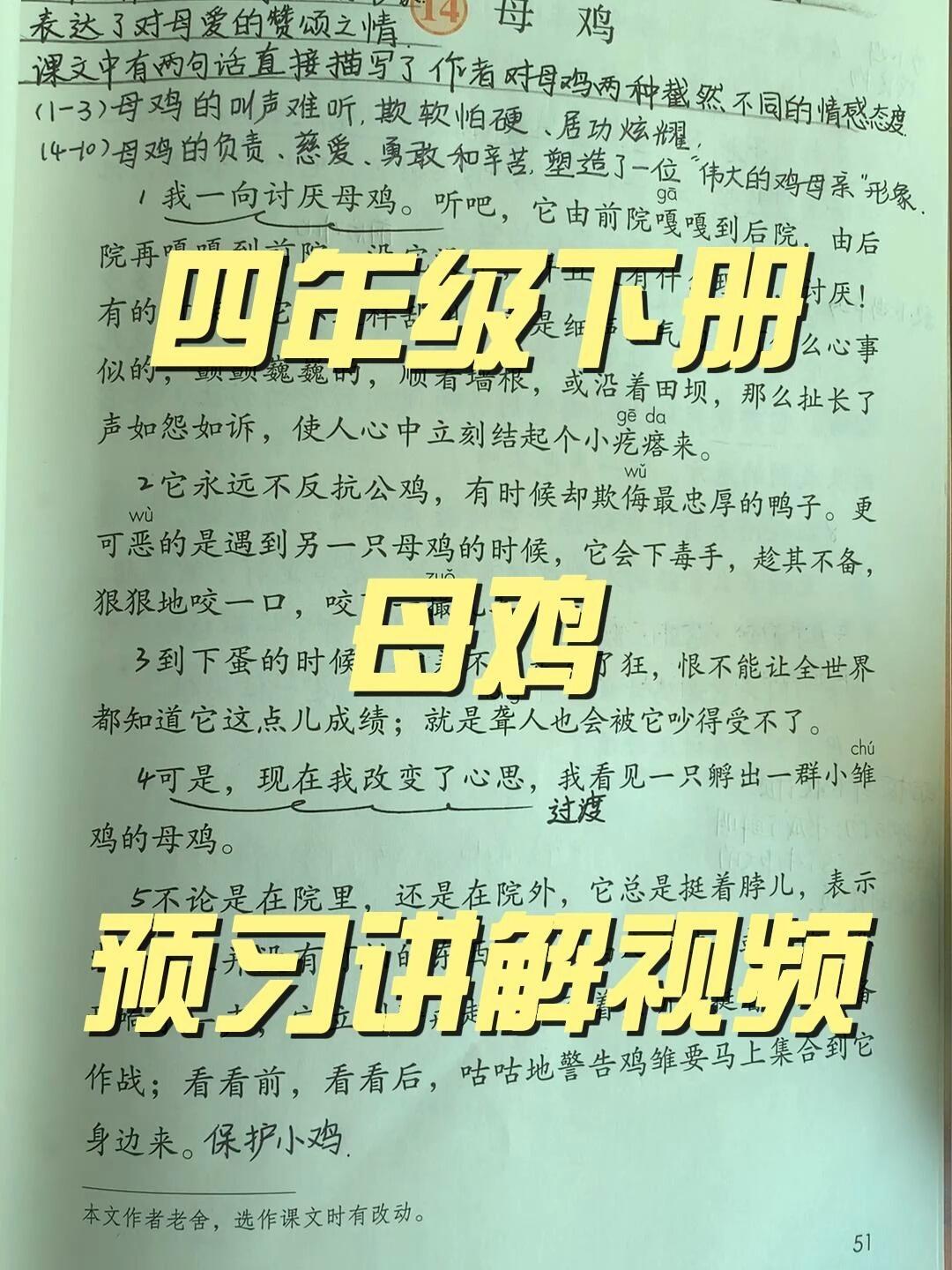 四年级下册语文第14课母鸡寒假预习讲解视频