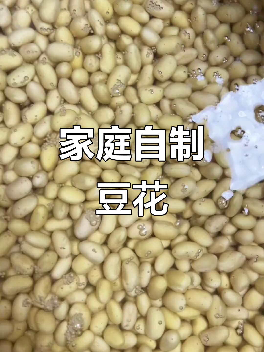 自制豆花全攻略,六小六豆花鱼教你做细腻豆腐