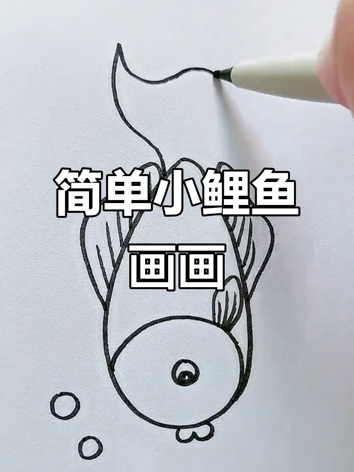 小鲤鱼简笔画，轻松学会画可爱小动物