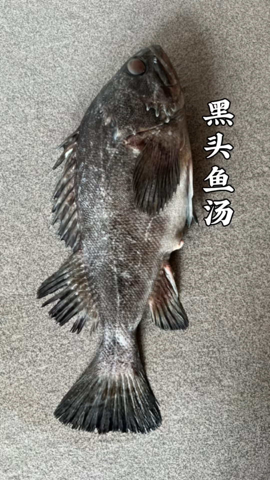 黑头鱼汤