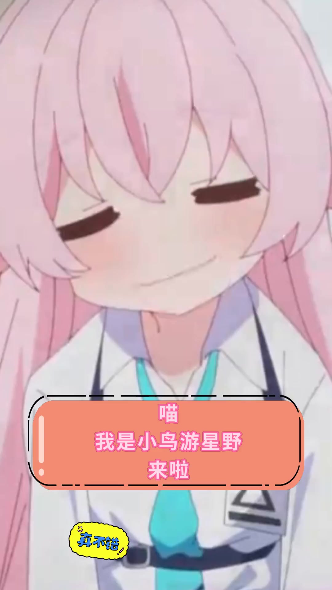 喵,我是小鸟游星野,来啦
