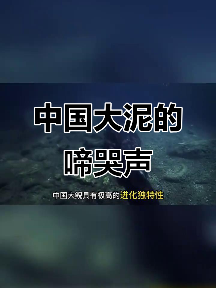 它的叫声像婴儿,竟是“娃娃鱼”!