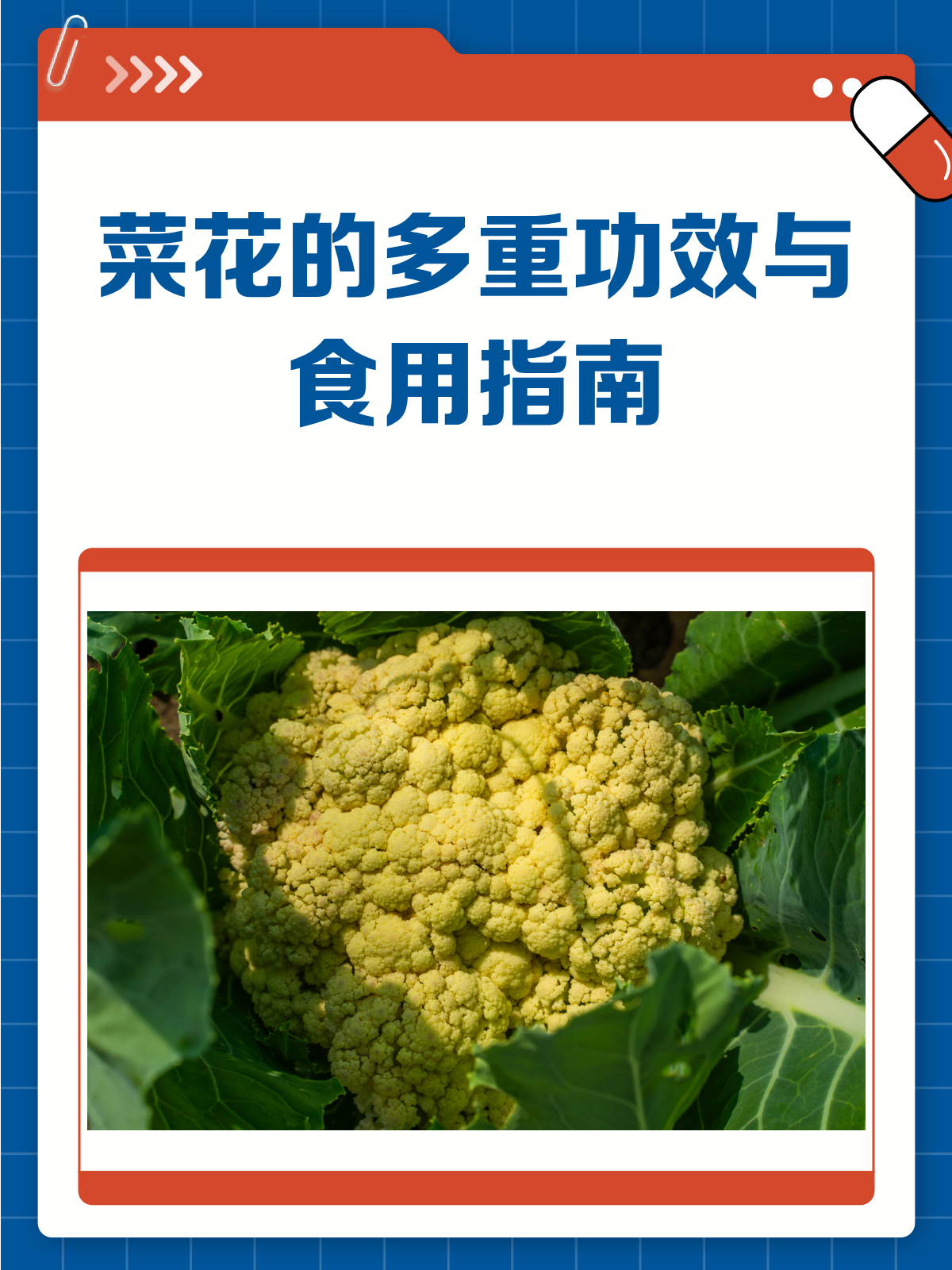 菜花不只是蔬菜!它的这些功效你知道吗?