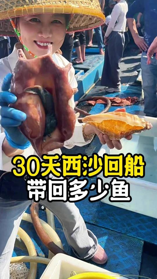 这次鱼真靓,沉浸式带你看西沙回港起鱼