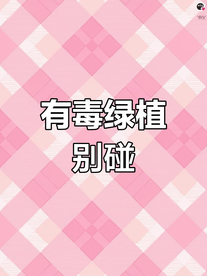 鸭掌木枝条有毒,家里有养吗?