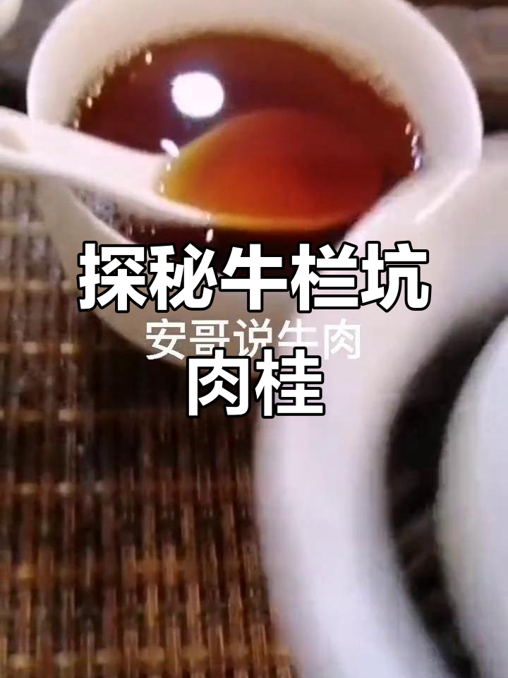 牛肉味到底如何?揭秘牛栏坑肉桂的独特魅力
