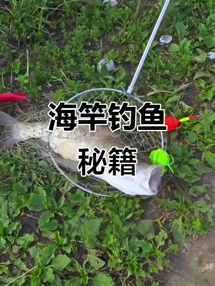 鲢鳙钓组安装全解析，轻松掌握技巧，告别常见错误！