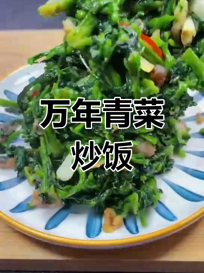 夏日清爽开胃菜,万年青炒饭推荐