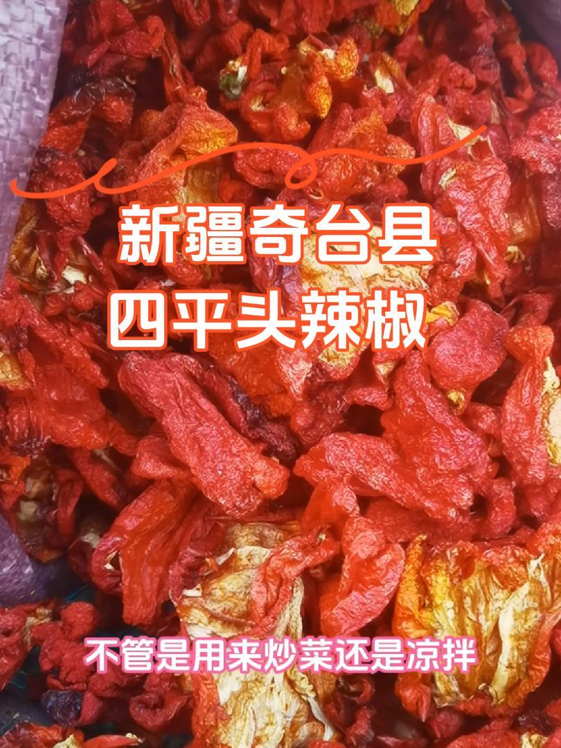 四平头辣椒新货,今年新疆奇台县四平头辣椒新货到了,四平头辣椒属于菜椒,微辣肉厚,适合家庭做